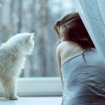 もしその男が投げたら? もしその男が投げたら?