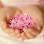 キンダーになる方法 キンダーになる方法
