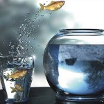 コンフォートゾーン：どのように展開するのですか？