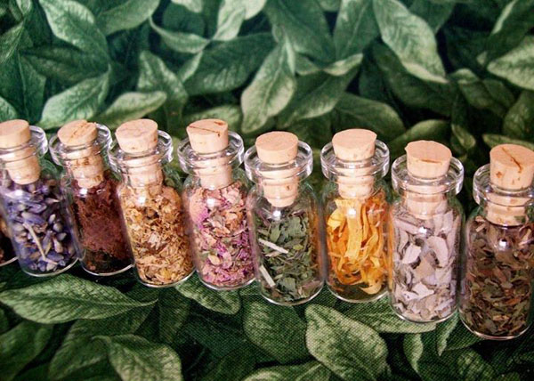 これらの植物はあなたとあなたの家を邪悪な目から守ります：腐敗からの野菜のお守り