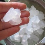インドの海の米 インドの海の米