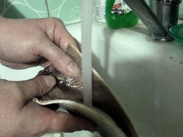 骨からのニシンの適切かつ迅速な切断方法