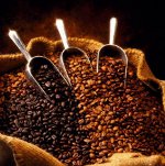 どのようにコーヒーを調理する？