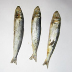 魚を乾かす方法