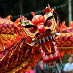 ドラゴンの年を知る方法