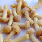 冬のキノコの凍結方法