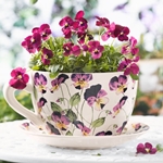 3月8日の花
