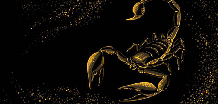 Scorpioの男のための十二宮の兆候は何ですか？