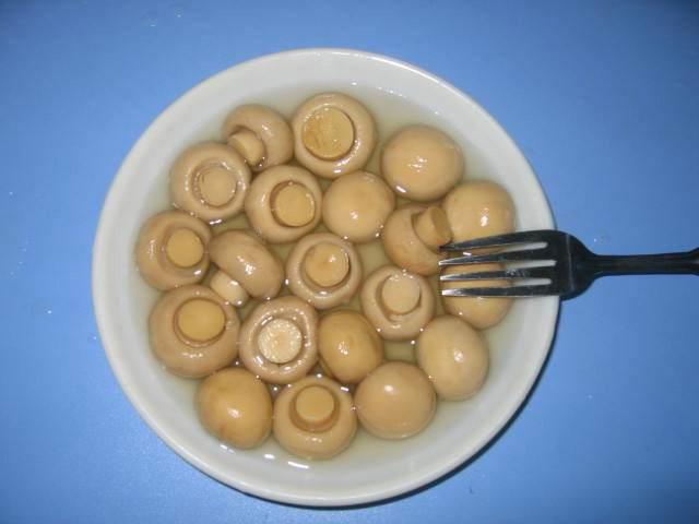 冬の缶詰のキノコ