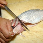異なるタイプの魚の処理