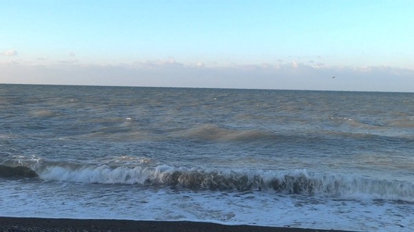 2016年11月のソチ天気 - 水文気象センターからの最も正確な予測