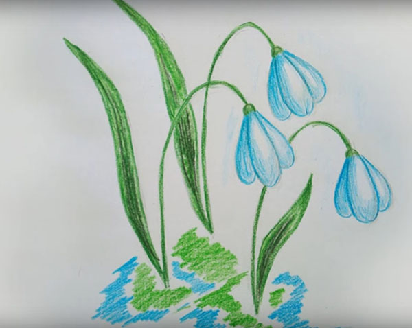 3月8日の画像