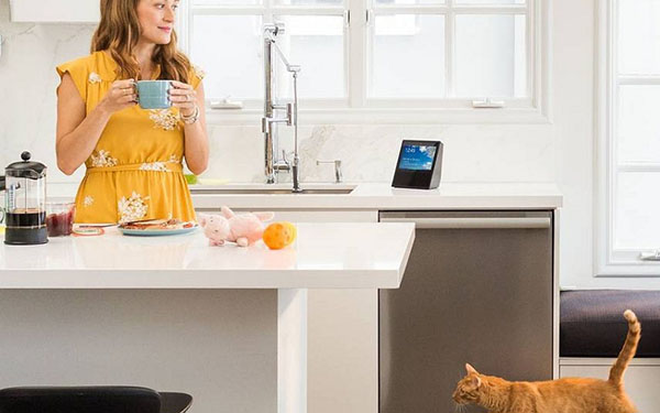 スマートホームアコースティック：Amazon Echo Showシステム