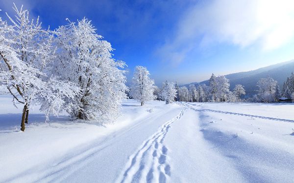 子供のための冬の詩：幼稚園と学校のオプション。冬についてのロシア古典詩人の美しい短い詩