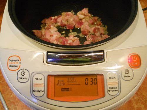 多肉植物のクリームソースの豚肉