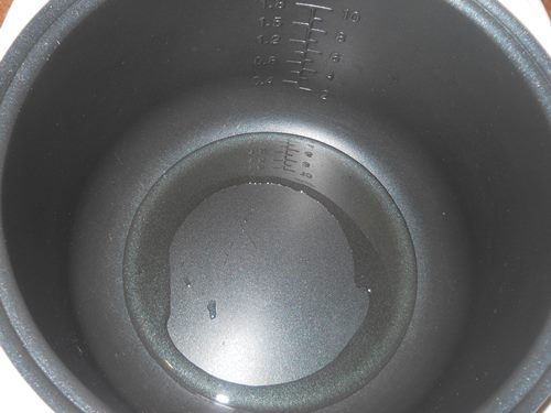 多肉植物のクリームソースの豚肉