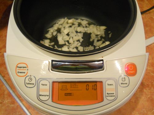 多肉植物のクリームソースの豚肉