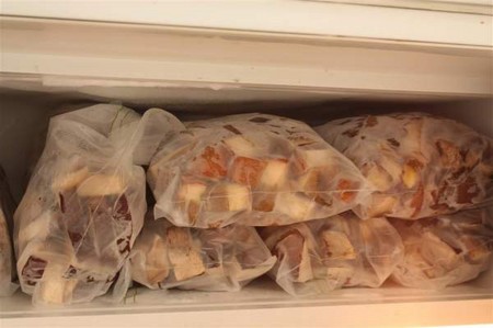 白いキノコを凍結させて長時間飼育する方法