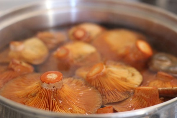 冬のためにキノコを塩にする方法
