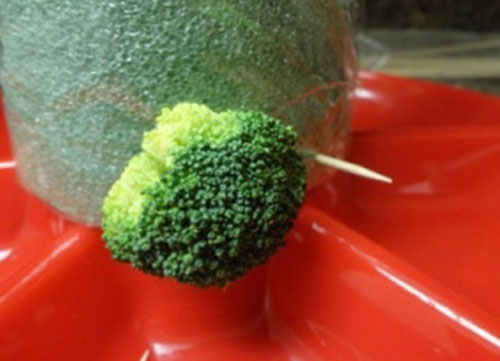  花序のキャベツを分解する