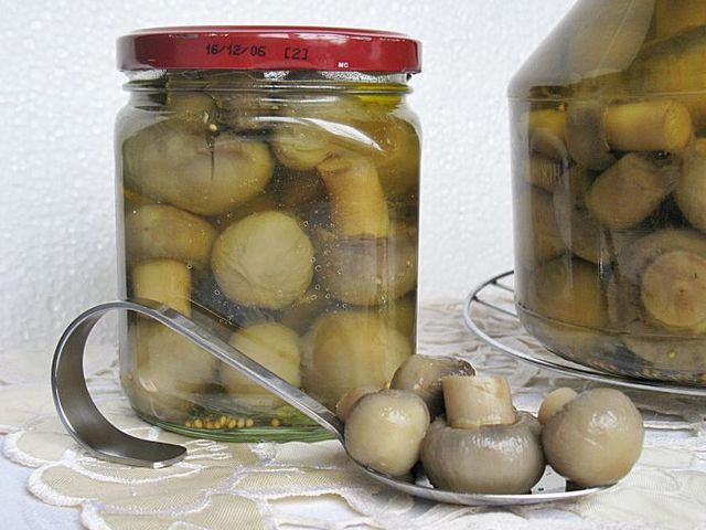 冬のマリネのシャンパン、古典的なレシピ 冬のマリネのシャンパン、古典的なレシピ