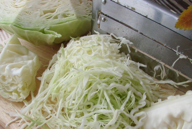 冬のキャベツ塩漬け