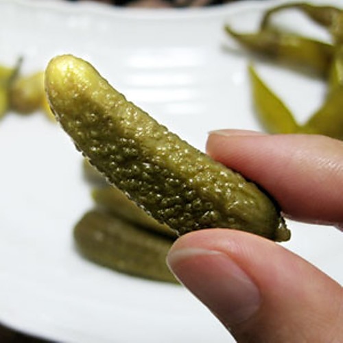 冬のキュウリサラダ