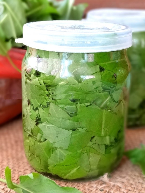 緑のヒーラー：最高の自家製のレシピからsorrel