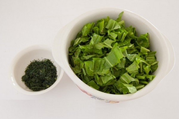 緑のヒーラー：最高の自家製のレシピからsorrel