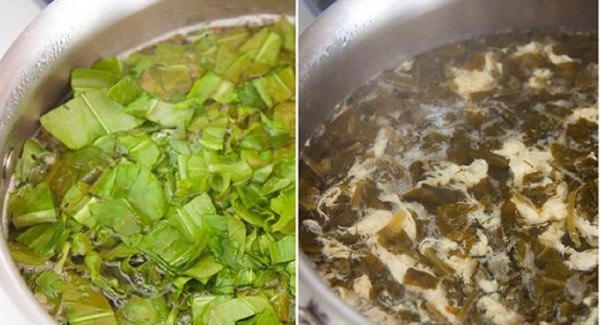 緑のヒーラー：最高の自家製のレシピからsorrel