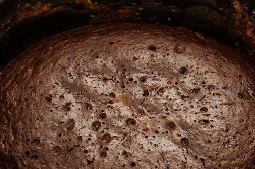 マルチバラのチョコレートカップケーキ - 写真付きレシピ