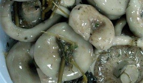 冬のレーズン：おいしい、簡単な料理レシピ