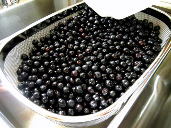 ブラックチョークベリーのジャム