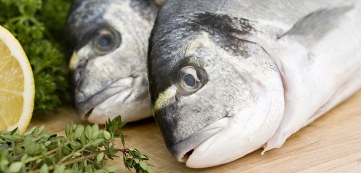ホーム缶詰の魚