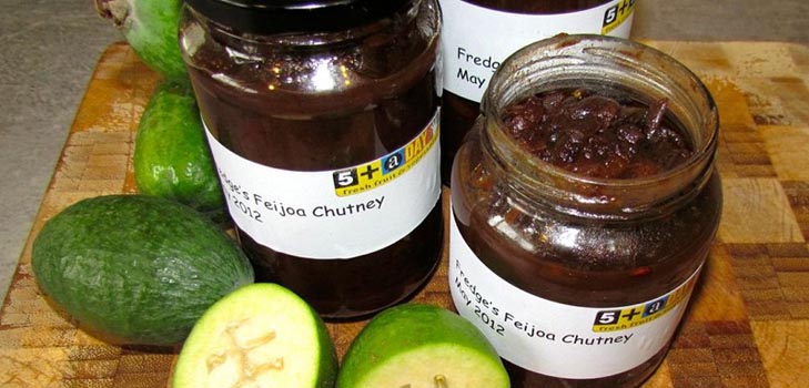feijoaの冬のブランク、写真付きの最高のレシピ