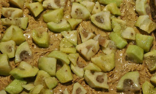 feijoaの冬のブランク、写真付きの最高のレシピ