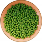 冬の緑豆のブランク