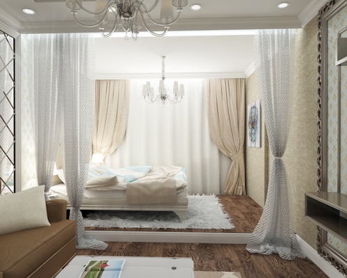 1つの部屋のリビングルームとベッドルーム（写真）