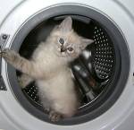 自分の手で洗濯機を修理する