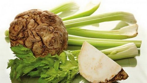 減量のための効果的な食事療法に関するレビュー