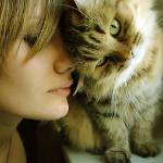 猫が人をどのように扱うか