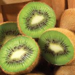 体重減少のためのキウイの食事療法