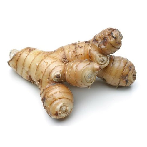 コルガンの植物：薬効と用途