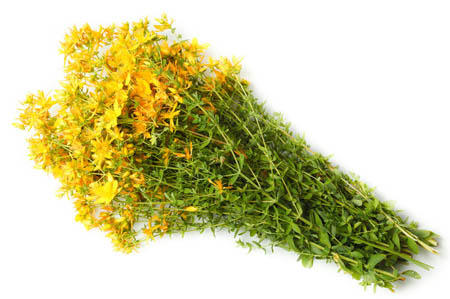 セントジョンズワートの草：薬効と禁忌