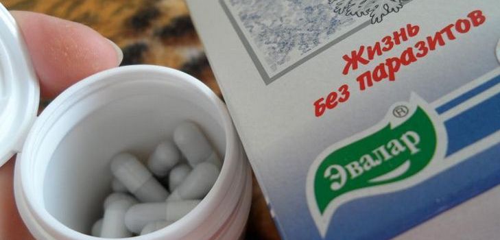 抗寄生虫薬はTroychchatka Evalarである。構成。指示。レビュー